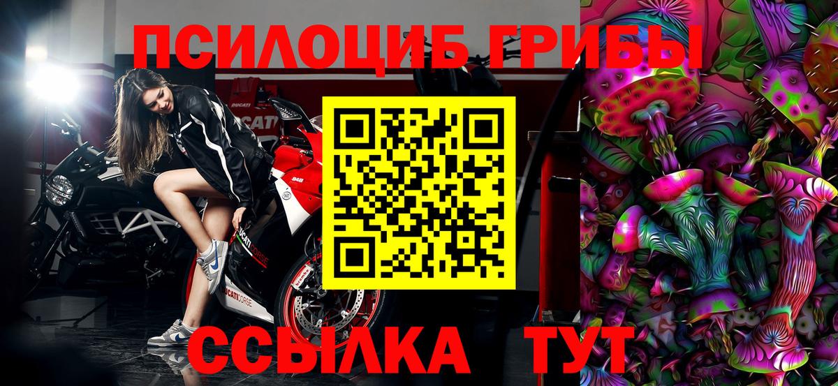 Азов  Псилоцибиновые грибы ЛСД  где купить наркоту  Вход с VPN 