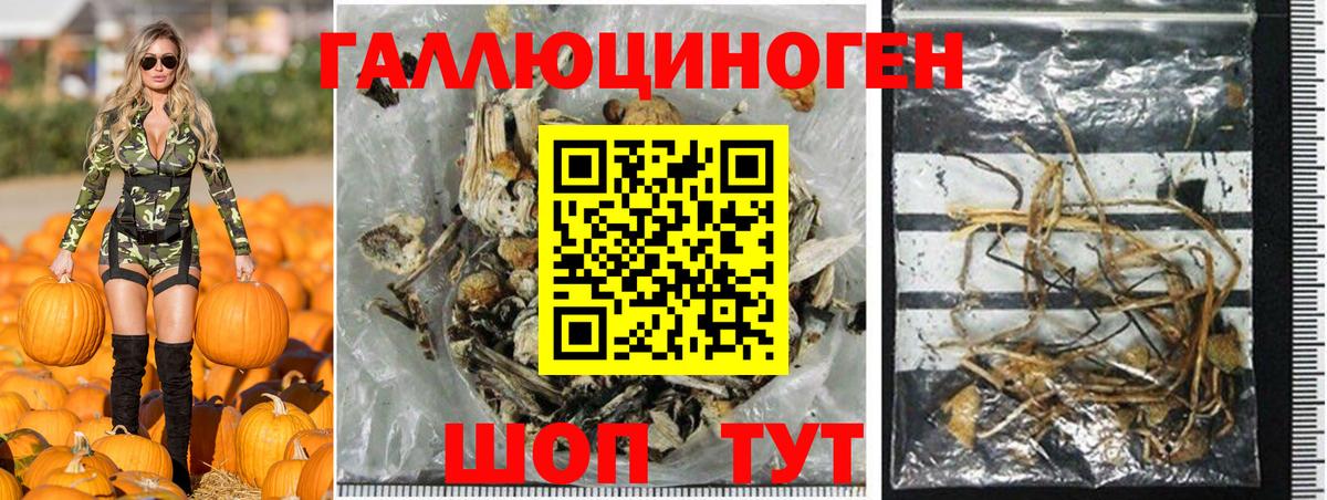 Галлюциногенные грибы GOLDEN TEACHER Азов